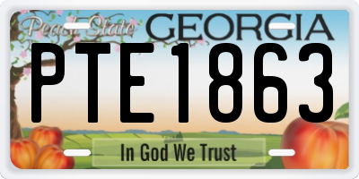 GA license plate PTE1863
