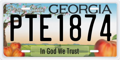 GA license plate PTE1874