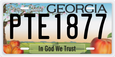 GA license plate PTE1877