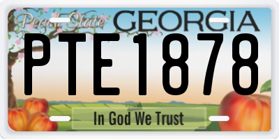 GA license plate PTE1878