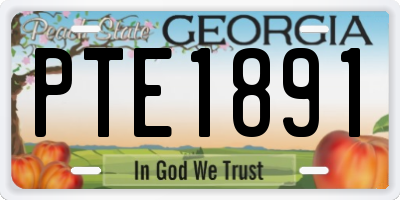 GA license plate PTE1891