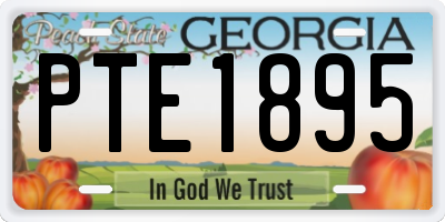 GA license plate PTE1895