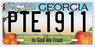 GA license plate PTE1911