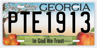 GA license plate PTE1913