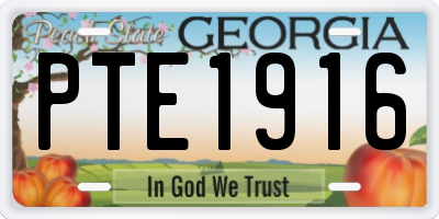 GA license plate PTE1916