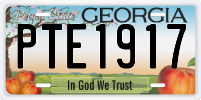 GA license plate PTE1917