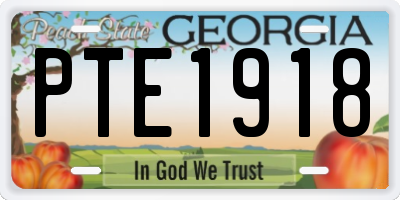 GA license plate PTE1918