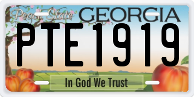 GA license plate PTE1919