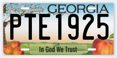GA license plate PTE1925