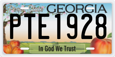 GA license plate PTE1928