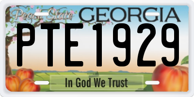 GA license plate PTE1929