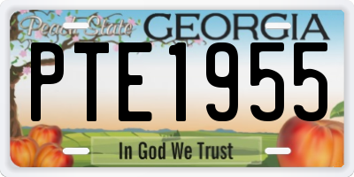 GA license plate PTE1955