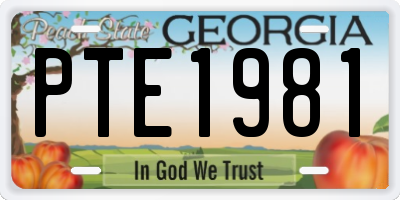 GA license plate PTE1981