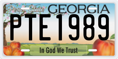 GA license plate PTE1989