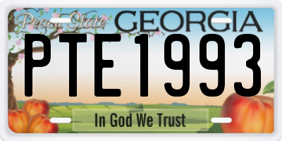 GA license plate PTE1993