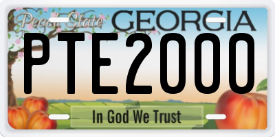 GA license plate PTE2000