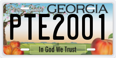 GA license plate PTE2001