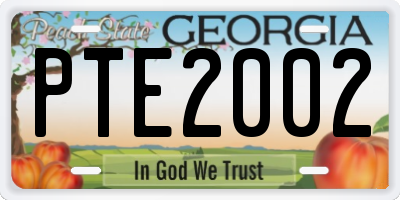 GA license plate PTE2002