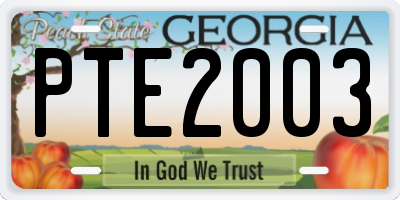 GA license plate PTE2003