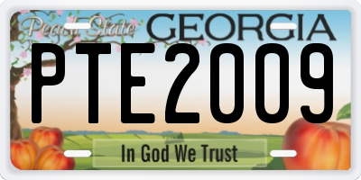 GA license plate PTE2009