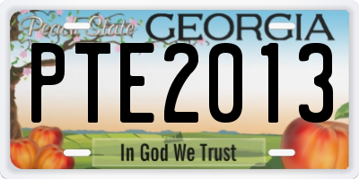 GA license plate PTE2013