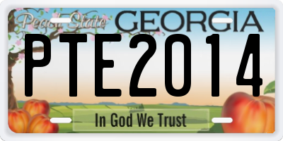 GA license plate PTE2014
