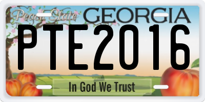 GA license plate PTE2016