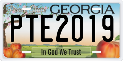 GA license plate PTE2019