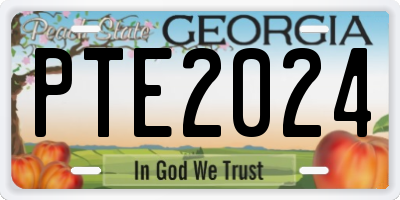GA license plate PTE2024