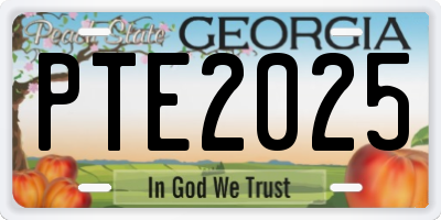 GA license plate PTE2025