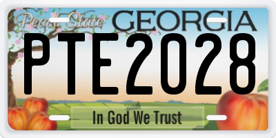 GA license plate PTE2028