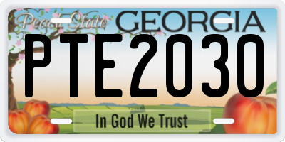 GA license plate PTE2030