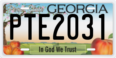GA license plate PTE2031