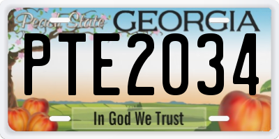 GA license plate PTE2034