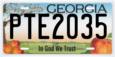 GA license plate PTE2035