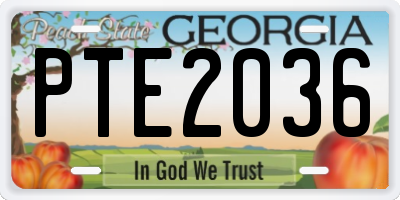 GA license plate PTE2036