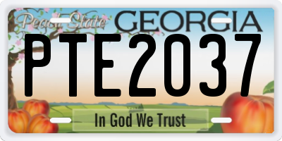 GA license plate PTE2037