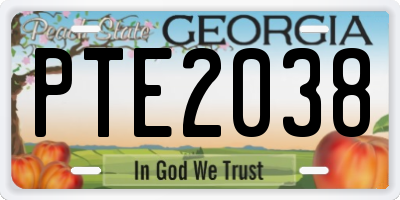 GA license plate PTE2038