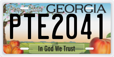 GA license plate PTE2041