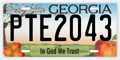 GA license plate PTE2043