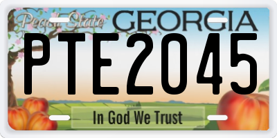 GA license plate PTE2045