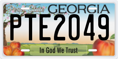 GA license plate PTE2049