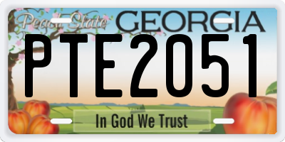 GA license plate PTE2051