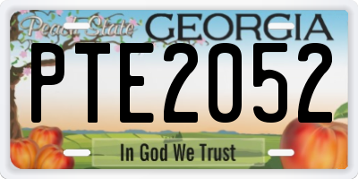 GA license plate PTE2052