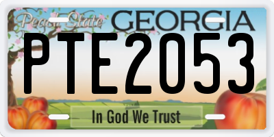 GA license plate PTE2053