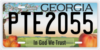 GA license plate PTE2055