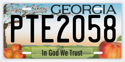 GA license plate PTE2058