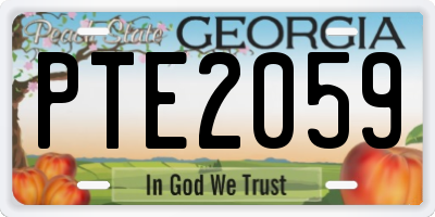 GA license plate PTE2059