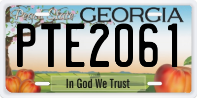GA license plate PTE2061