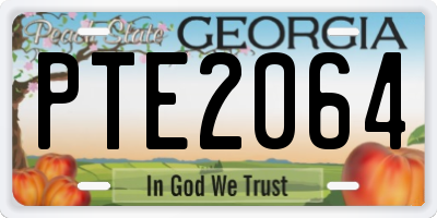 GA license plate PTE2064